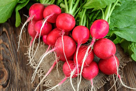 Family Of Radish