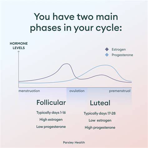 Fatigue Before Period