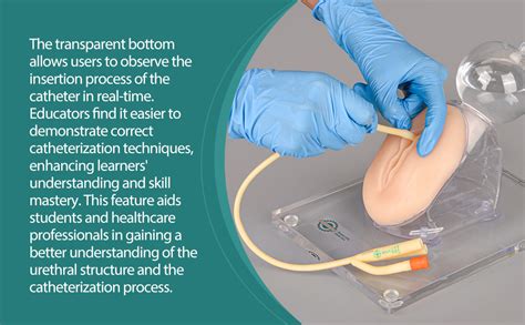 Female Insertion Of Catheter