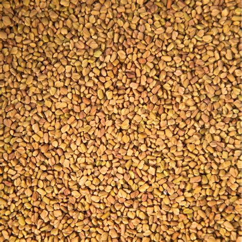 Fenugreek Seed Extract