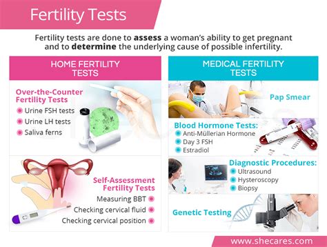 Fertility Test For Women