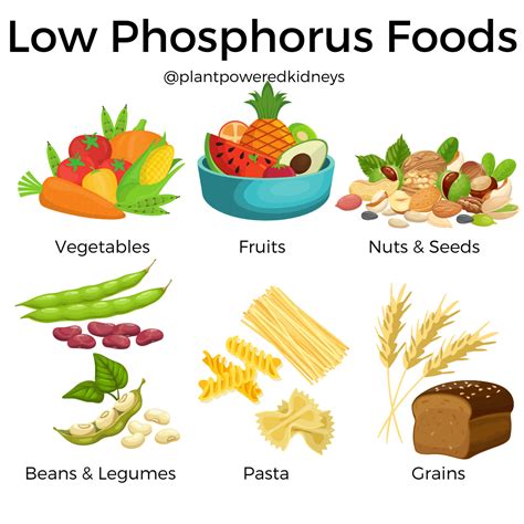 Foods Low In Phosphorus