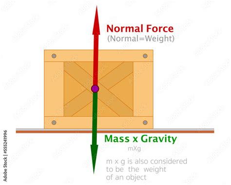 Force Of Weight