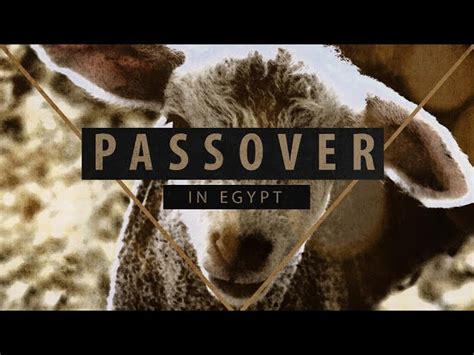 Founded In Truth Passover