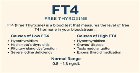 Ft4 Blood Test