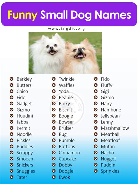 Funny Names For Dogs