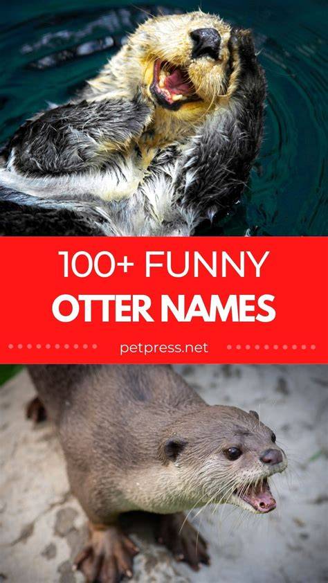 Funny Names For Otters