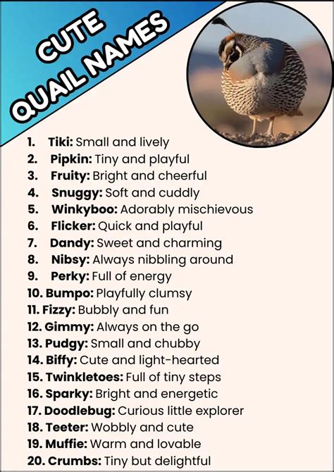 Funny Names For Quails