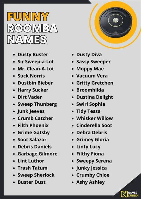 Funny Names For Roomba Vacuum