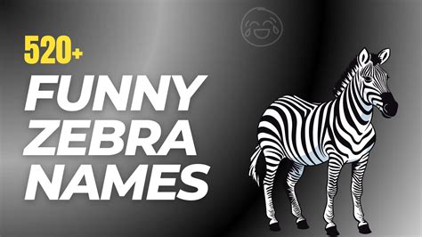 Funny Names For Zebras