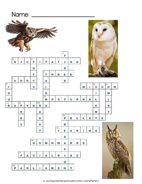 Genus Of Typical Owls Crossword Clue