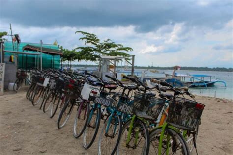 Gilli T Cycle