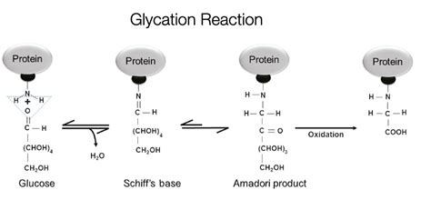 Glycation Reaction