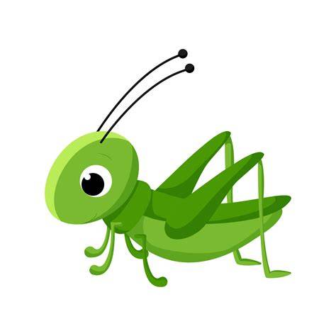 Grasshopper Illustration