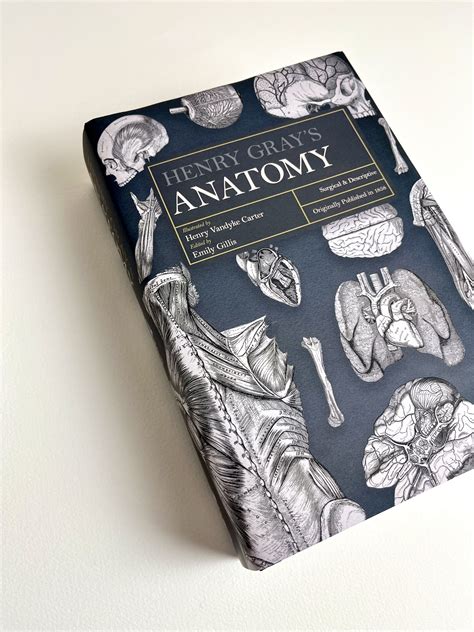 Gray'S Anatomy Book