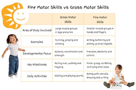 Gross Motor Vs Fine Motor