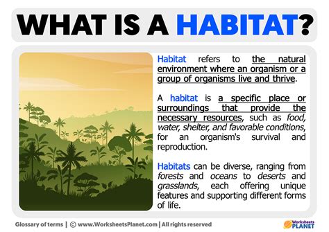 Habitat Meaning Of Urdu