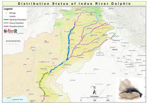 Habitat Of Indus River Dolphin
