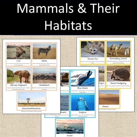 Habitat Of Mammals