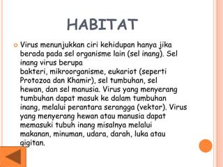 Habitat Of Virus