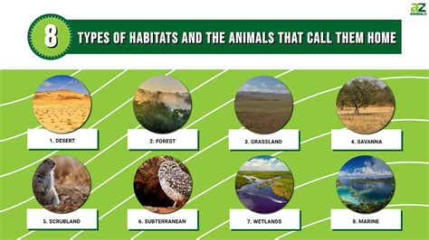 Habitats Of Uk