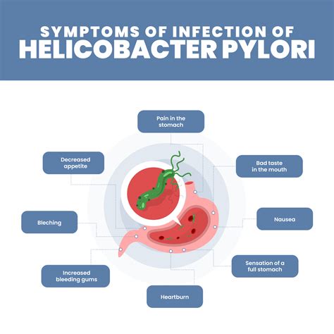 Helicobacter Pylori Infection Symptoms