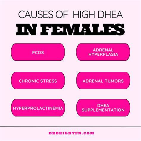 High Dhea Sulfate In Females