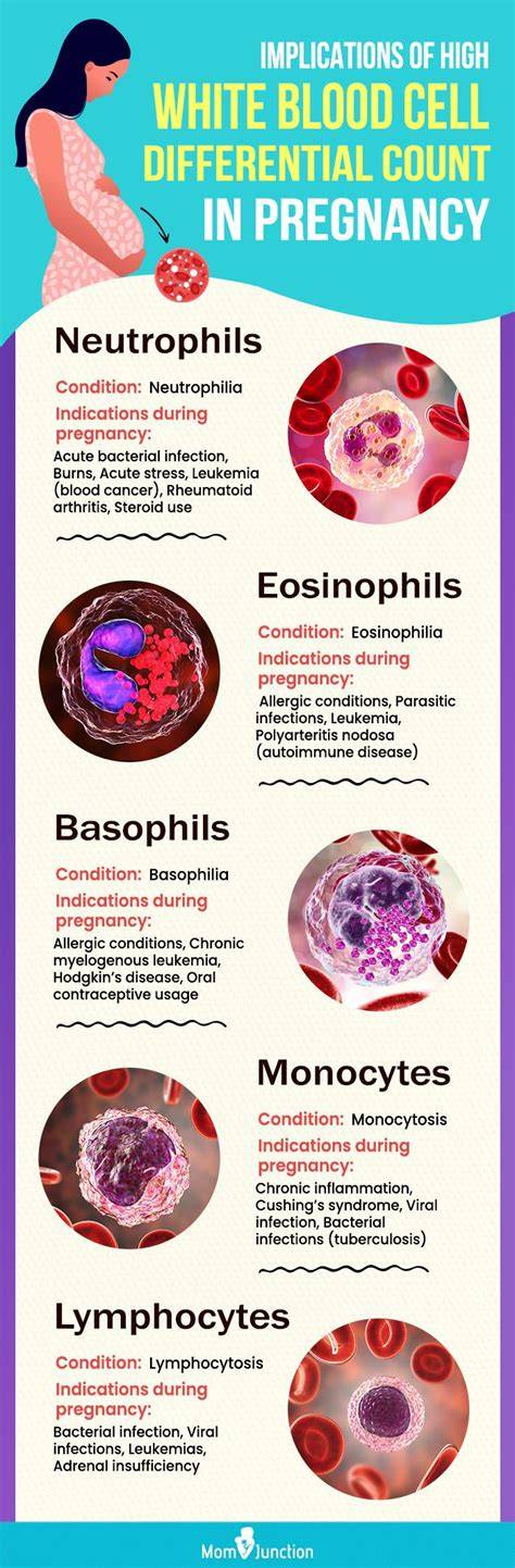 High Wbc Count When Pregnant