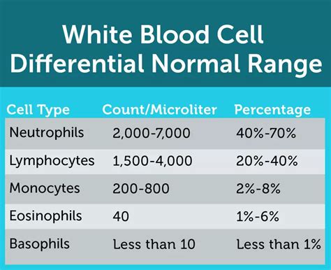 High White Cells And Neutrophils