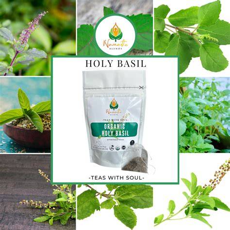Holy Basil Tea