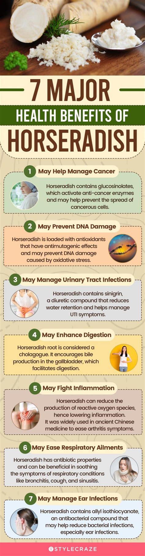 Horseradish Health Benefits