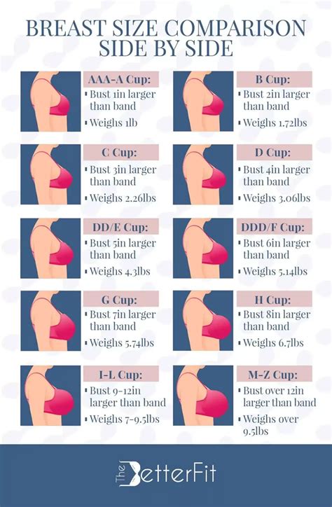 How Big Is E Cup