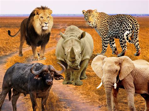 How Big Is Zimbabwe