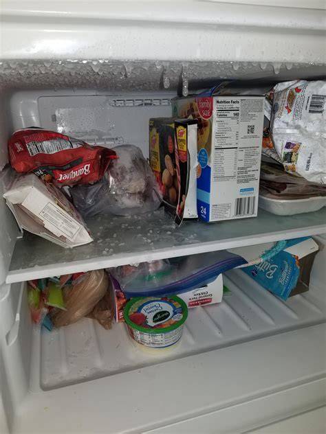 How Cold Is My Freezer