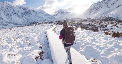 How Cold Is New Zealand In Winter