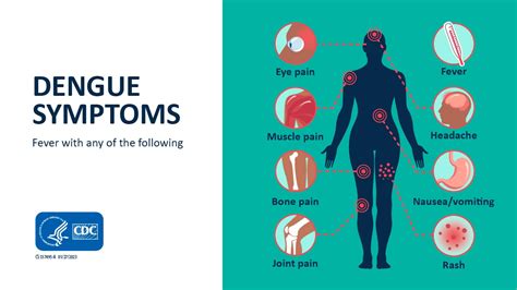 How Common Is Dengue Fever