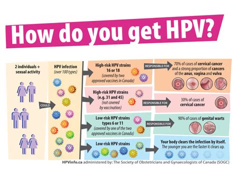 How Common Is Hpv In Women