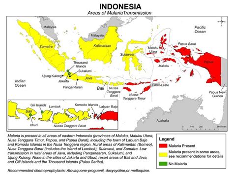 How Common Is Malaria In Bali