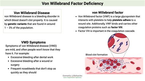 How Common Is Von Willebrand Disease