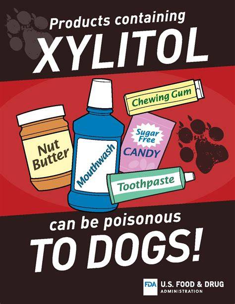How Dangerous Is Xylitol For Dogs