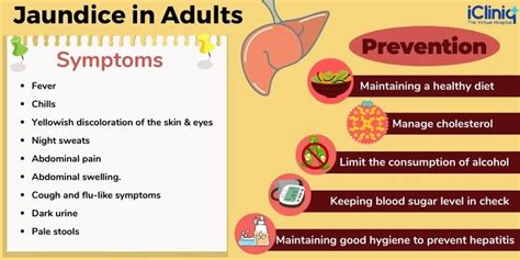 How Dangerous Is Yellow Jaundice In Adults