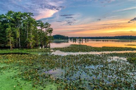 How Deep Is Reelfoot Lake