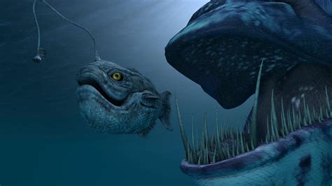 How Deep Is Sea