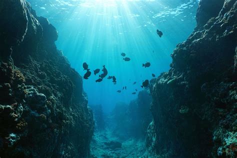How Deep Is Zealandia Underwater