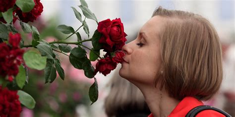 How Does Dina Smell The Flowers Artinya