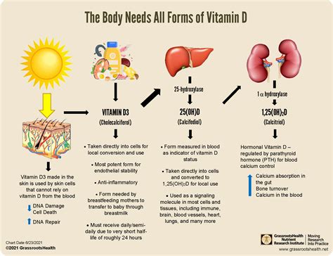 How Does It Help Vitamin A