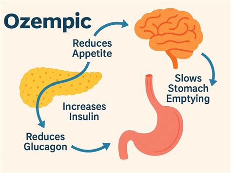 How Does It Work Ozempic