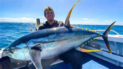 How Expensive Is Yellowfin Tuna