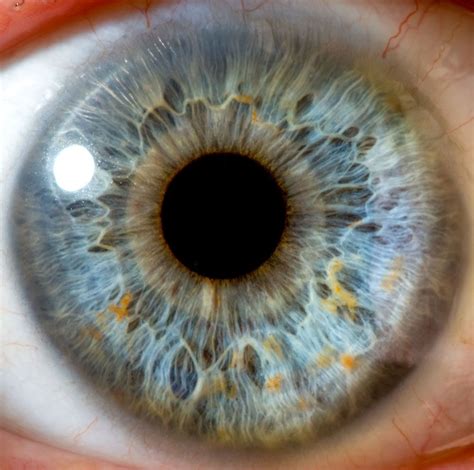 How Far Can The Human Eye See