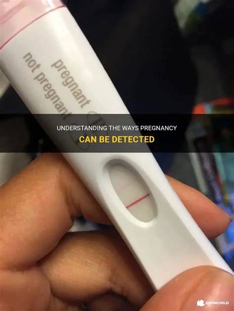 How Fast Can Pregnancy Be Detected